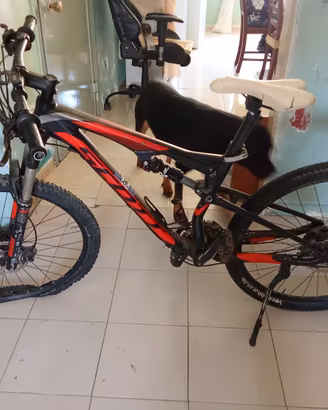 Mountain bike  biammortizzata