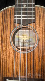 ukulele Company 