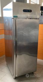 Frigo Professionale 