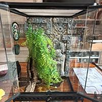 Terrario 30x30x45 con portalampada e termometro
