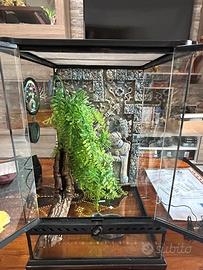 Terrario 30x30x45 con portalampada e termometro