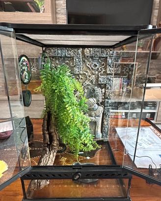 Terrario 30x30x45 con portalampada e termometro