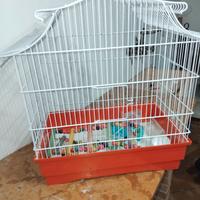 Gabbietta per canarini