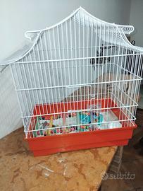 Gabbietta per canarini