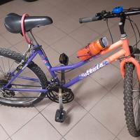 Bicicletta Atala Donna