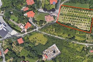 Terreno agricolo, uliveto