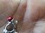 Immagine 2