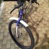 bicicletta mountain bike