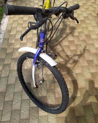 bicicletta mountain bike