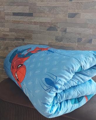 Coperta trapuntata  invernale singola