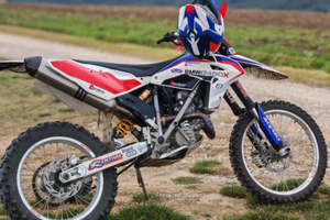 Moto enduro bmw g450x