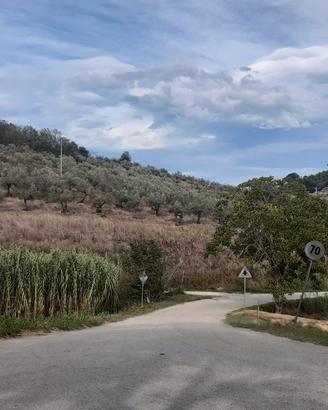 Terreno agricolo