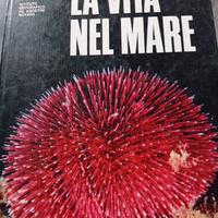 La Vita nel Mare 1972 Prima Edizione De Agostini