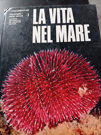 La Vita nel Mare 1972 Prima Edizione De Agostini