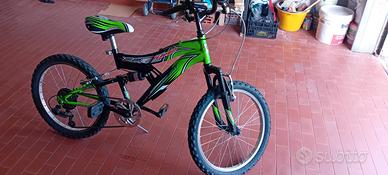 Bicicletta 20 pollici 