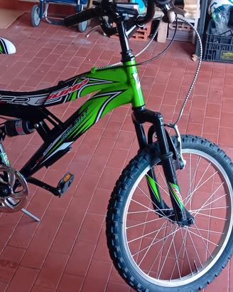 Bicicletta 20 pollici 