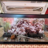 Acquario da 80 lt completo di tutto + omaggio