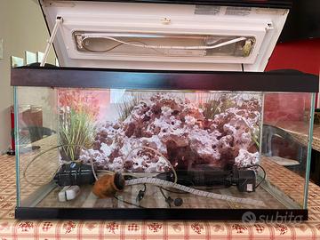 Acquario da 80 lt completo di tutto + omaggio