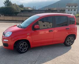 Fiat panda 1.0 firefly hybrid benzina 70 cv