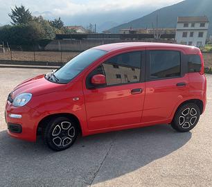 Fiat panda 1.0 firefly hybrid benzina 70 cv