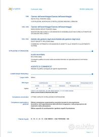 Trasporti logistica montatore manutentore ecc