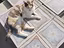 Immagine 12