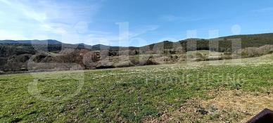 Terreno Agricolo Amelia [Cod. rif 3137584VCG]