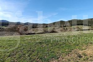 Terreno Agricolo Amelia [Cod. rif 3137584VCG]