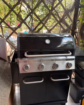 Barbeque Naterial
