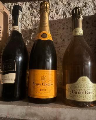 Spumante e champagne