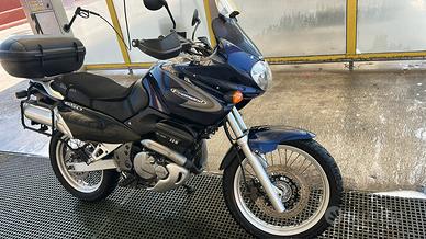 Suzuki  Xf Freewind