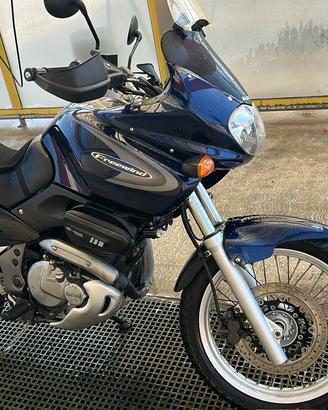 Suzuki  Xf Freewind