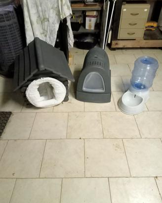 accessori per gatti 