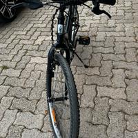 Bici per Ragazzo tg 24