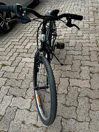 Bici per Ragazzo tg 24