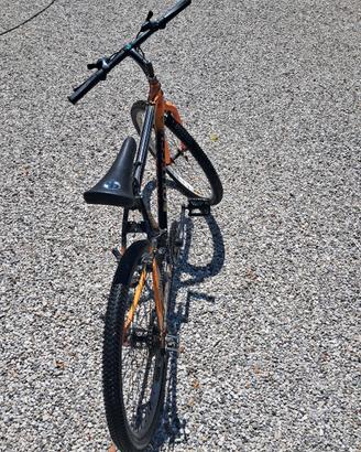 MTB Bottecchia 26
