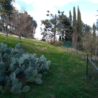 Garage con terreno agricolo loc.Montelaguardia