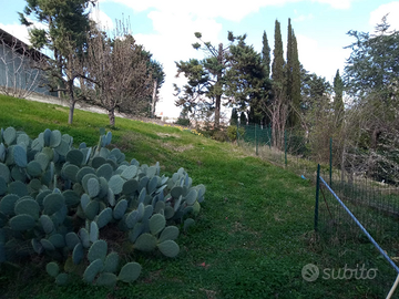 Garage con terreno agricolo loc.Montelaguardia