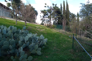 Garage con terreno agricolo loc.Montelaguardia