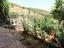 Immagine 14
