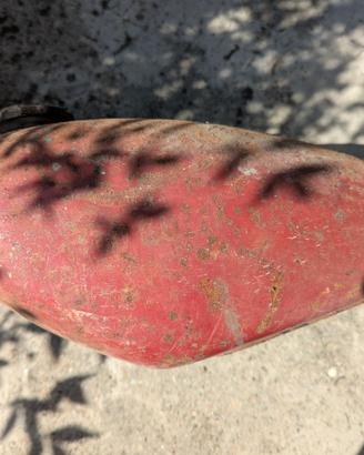 Serbatoio Guzzino 65cc