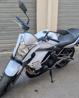 Kawasaki er6n