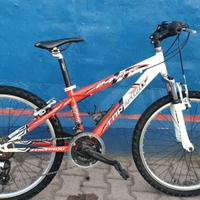 Bici MTB Torpado Viper 24 bambino