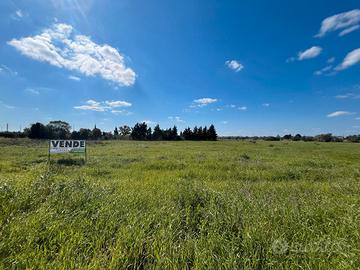 Terreno di ampia metratura