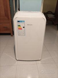 Climatizzatore pinguino