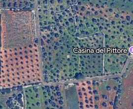 Terreno agricolo in Contrada Pittore