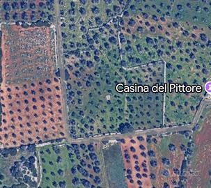 Terreno agricolo in Contrada Pittore