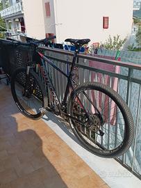  MTB Bottecchia fx125, 29