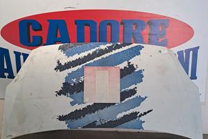 Cofano Iveco Daily 4° 2.3 diesel del 2008 Cofano I