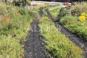 Terreno mq. 2700 cod. o13604